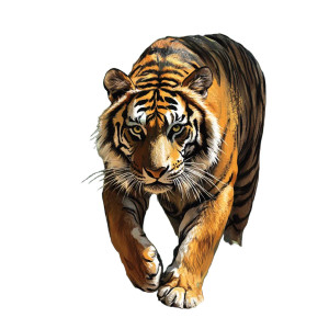 Majestic Jungle Tiger V2 Vinyl Car Decal Sticker – Waterproof & UV-Resistant 8" Majestic Jungle Tiger V2 Vinyl Car Decal Sticker – Waterproof & UV-Resistant 8"