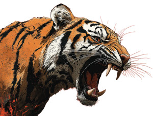 Ferocious Tiger Illustration Vinyl Car Decal Sticker – Waterproof & UV-Resistant 8"