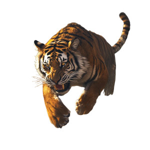 Hunting Tiger Vinyl Car Decal Sticker – Waterproof & UV-Resistant 8" Hunting Tiger Vinyl Car Decal Sticker – Waterproof & UV-Resistant 8"