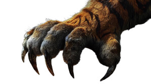 Tiger Claw Render Vinyl Car Decal Sticker – Waterproof & UV-Resistant 8"