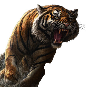 Roaring Tiger V38 Vinyl Car Decal Sticker – Waterproof & UV-Resistant 8" Roaring Tiger V38 Vinyl Car Decal Sticker – Waterproof & UV-Resistant 8"