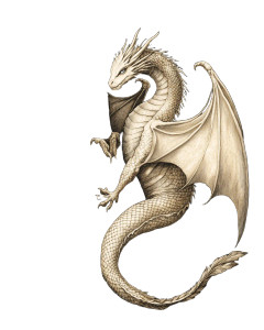 Ethereal White Dragon Vinyl Car Decal Sticker – Waterproof & UV-Resistant 8" Ethereal White Dragon Vinyl Car Decal Sticker – Waterproof & UV-Resistant 8"