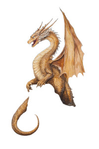 Golden Atlantean Dragon Vinyl Car Decal Sticker – Waterproof & UV-Resistant 8" Golden Atlantean Dragon Vinyl Car Decal Sticker – Waterproof & UV-Resistant 8"