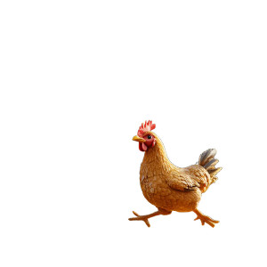 Chicken And Excavator Vinyl Car Decal Sticker – Waterproof & UV-Resistant 8"