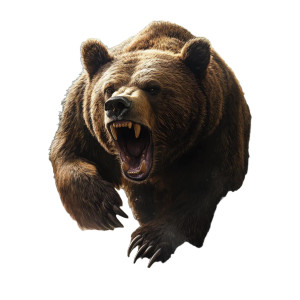 Angry Bear V12 Vinyl Car Decal Sticker – Waterproof & UV-Resistant 8"