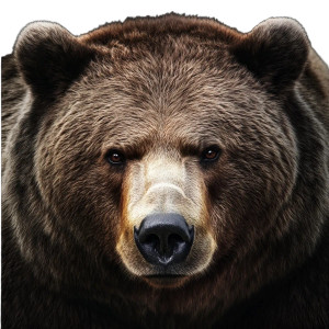 Russian Bear Vinyl Car Decal Sticker – Waterproof & UV-Resistant 8" Russian Bear Vinyl Car Decal Sticker – Waterproof & UV-Resistant 8"