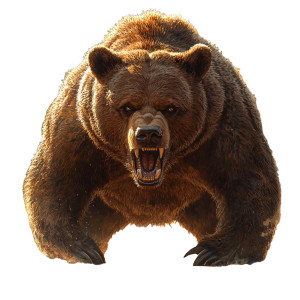 Angry Bear V13 Vinyl Car Decal Sticker – Waterproof & UV-Resistant 8"