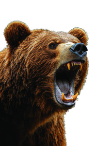 Roaring Grizzly Bear V16 Vinyl Car Decal Sticker – Waterproof & UV-Resistant 8"