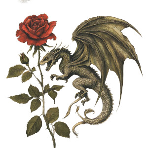 Dragon And Rose Vinyl Car Decal Sticker – Waterproof & UV-Resistant 8"