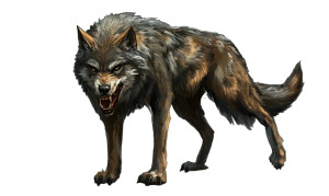 Ferocious Wolf Vinyl Car Decal Sticker – Waterproof & UV-Resistant 8" Ferocious Wolf Vinyl Car Decal Sticker – Waterproof & UV-Resistant 8"