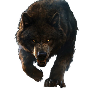 Bear-Wolf Hybrid V2 Vinyl Car Decal Sticker – Waterproof & UV-Resistant 8"