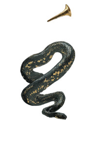 Judgement Tarot Card Vinyl Car Decal Sticker – Waterproof & UV-Resistant 8"