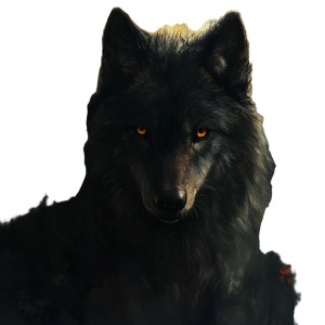 Wolf Vinyl Car Decal Sticker – Waterproof & UV-Resistant 8" Wolf Vinyl Car Decal Sticker – Waterproof & UV-Resistant 8"