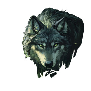 Head Wolf Manga Vinyl Car Decal Sticker – Waterproof & UV-Resistant 8" Head Wolf Manga Vinyl Car Decal Sticker – Waterproof & UV-Resistant 8"
