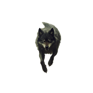 Running Wolf V2 Vinyl Car Decal Sticker – Waterproof & UV-Resistant 8"