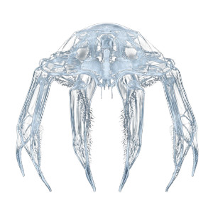 Crystalline Glass Jellyfish Vinyl Car Decal Sticker – Waterproof & UV-Resistant 8" Crystalline Glass Jellyfish Vinyl Car Decal Sticker – Waterproof & UV-Resistant 8"