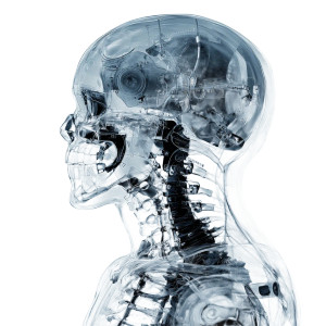 Cyborg X-Ray Vinyl Car Decal Sticker – Waterproof & UV-Resistant 8" Cyborg X-Ray Vinyl Car Decal Sticker – Waterproof & UV-Resistant 8"