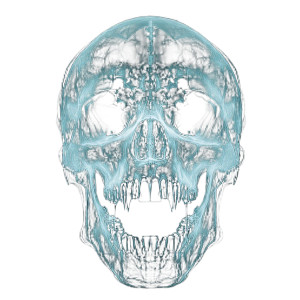 X-Ray Skull Art Vinyl Car Decal Sticker – Waterproof & UV-Resistant 8"