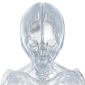 Alien X-Ray Vinyl Car Decal Sticker – Waterproof & UV-Resistant 8" Alien X-Ray Vinyl Car Decal Sticker – Waterproof & UV-Resistant 8"
