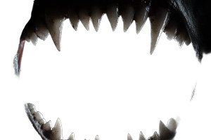 Vampire Bite Frame Vinyl Car Decal Sticker – Waterproof & UV-Resistant 8"