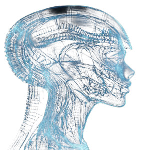Xenomorph Hybrid Deathmask Vinyl Car Decal Sticker – Waterproof & UV-Resistant 8"
