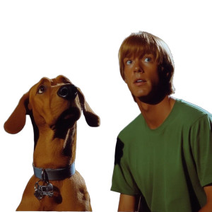Shaggy And Scooby V3 Vinyl Car Decal Sticker – Waterproof & UV-Resistant 8"