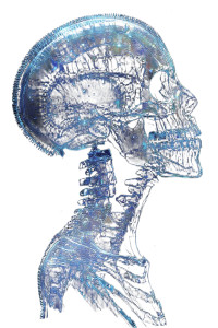 X-Ray Head Vinyl Car Decal Sticker – Waterproof & UV-Resistant 8" X-Ray Head Vinyl Car Decal Sticker – Waterproof & UV-Resistant 8"