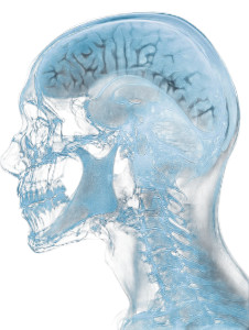X-Ray Head Side Vinyl Car Decal Sticker – Waterproof & UV-Resistant 8" X-Ray Head Side Vinyl Car Decal Sticker – Waterproof & UV-Resistant 8"
