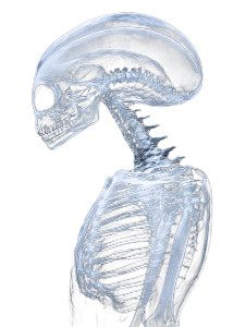 Alien X-Ray Profile Vinyl Car Decal Sticker – Waterproof & UV-Resistant 8" Alien X-Ray Profile Vinyl Car Decal Sticker – Waterproof & UV-Resistant 8"