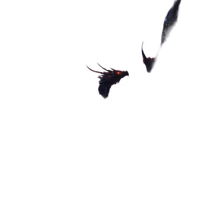 Astral Dragon Vinyl Car Decal Sticker – Waterproof & UV-Resistant 8"