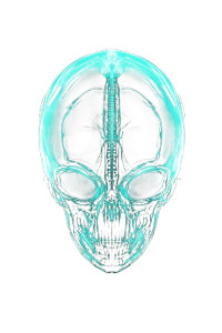 Glowing Alien X-Ray Vinyl Car Decal Sticker – Waterproof & UV-Resistant 8"