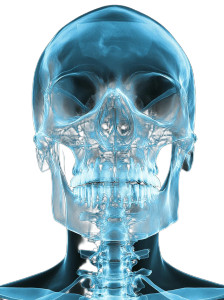 Blue X-Ray Skull Vinyl Car Decal Sticker – Waterproof & UV-Resistant 8" Blue X-Ray Skull Vinyl Car Decal Sticker – Waterproof & UV-Resistant 8"