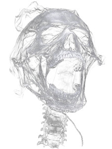 Skull X-Ray Screaming Vinyl Car Decal Sticker – Waterproof & UV-Resistant 8"