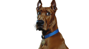 Scooby-Doo Portrait V2 Vinyl Car Decal Sticker – Waterproof & UV-Resistant 8" Scooby-Doo Portrait V2 Vinyl Car Decal Sticker – Waterproof & UV-Resistant 8"