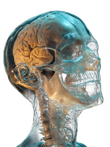 Human Scan 3D Vinyl Car Decal Sticker – Waterproof & UV-Resistant 8" Human Scan 3D Vinyl Car Decal Sticker – Waterproof & UV-Resistant 8"