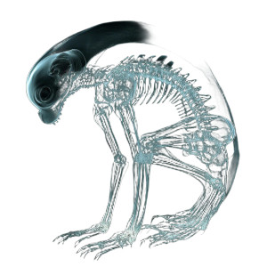 Alien Mammal Mri Vinyl Car Decal Sticker – Waterproof & UV-Resistant 8"