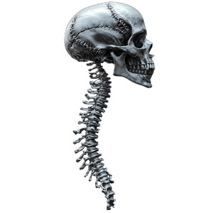 Floating Silver Skull Vinyl Car Decal Sticker – Waterproof & UV-Resistant 8"