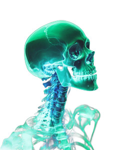 Neon Skeleton X-Ray Vinyl Car Decal Sticker – Waterproof & UV-Resistant 8" Neon Skeleton X-Ray Vinyl Car Decal Sticker – Waterproof & UV-Resistant 8"
