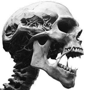 Evil Biomechanical Skull Vinyl Car Decal Sticker – Waterproof & UV-Resistant 8"