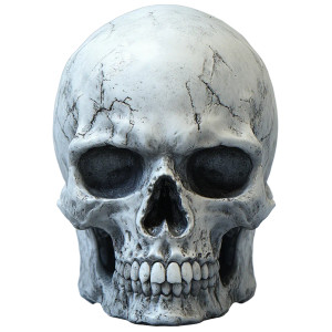 Aggressive Skull Vinyl Car Decal Sticker – Waterproof & UV-Resistant 8"