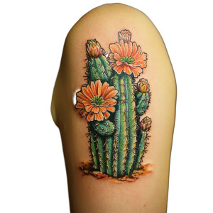 Cactus Tattoo Vinyl Car Decal Sticker – Waterproof & UV-Resistant 8" Cactus Tattoo Vinyl Car Decal Sticker – Waterproof & UV-Resistant 8"
