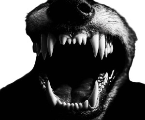 Wolf Fangs Vinyl Car Decal Sticker – Waterproof & UV-Resistant 8"