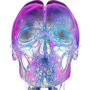 Mri Face Scan Vinyl Car Decal Sticker – Waterproof & UV-Resistant 8" Mri Face Scan Vinyl Car Decal Sticker – Waterproof & UV-Resistant 8"