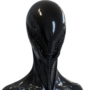 Delicate Nasal Humanoid Vinyl Car Decal Sticker – Waterproof & UV-Resistant 8"