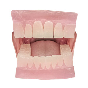 Uv Teeth Glow Vinyl Car Decal Sticker – Waterproof & UV-Resistant 8"