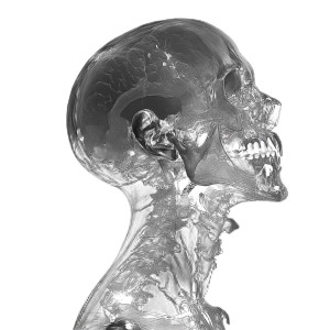 X-Ray Scan Vinyl Car Decal Sticker – Waterproof & UV-Resistant 8" X-Ray Scan Vinyl Car Decal Sticker – Waterproof & UV-Resistant 8"