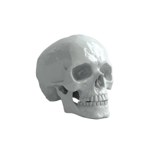 3D Skull V2 Vinyl Car Decal Sticker – Waterproof & UV-Resistant 8" 3D Skull V2 Vinyl Car Decal Sticker – Waterproof & UV-Resistant 8"