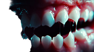 Biting The Camera Vinyl Car Decal Sticker – Waterproof & UV-Resistant 8"