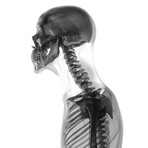 Futuristic Transparent Skeleton Vinyl Car Decal Sticker – Waterproof & UV-Resistant 8" Futuristic Transparent Skeleton Vinyl Car Decal Sticker – Waterproof & UV-Resistant 8"