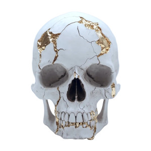Golden Fractured Skull Vinyl Car Decal Sticker – Waterproof & UV-Resistant 8" Golden Fractured Skull Vinyl Car Decal Sticker – Waterproof & UV-Resistant 8"